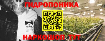 молекула духа Будённовск
